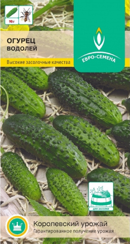 Огурцы Водолей Фото