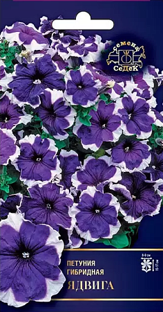 Семена петунии Ядвига F1