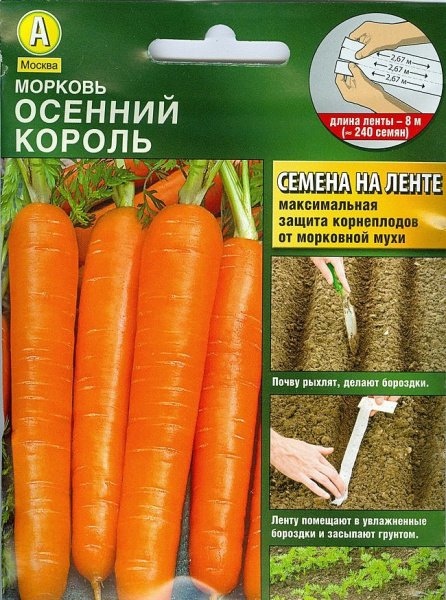 Морковь Осенний Король Отзывы Фото