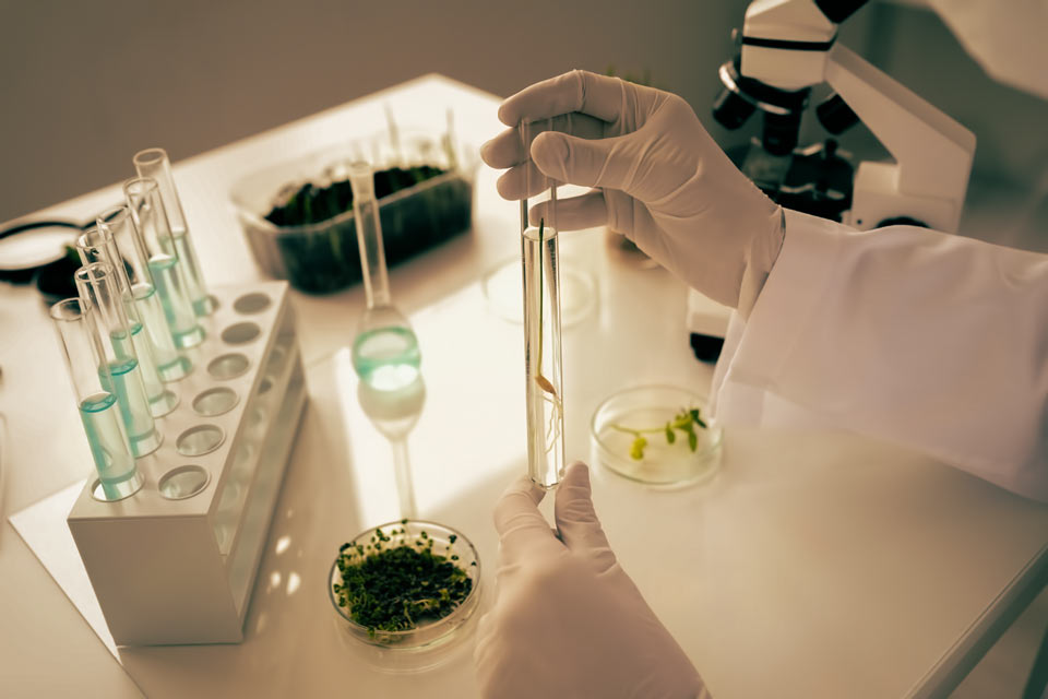 MONSANTO СОКРАТИЛА КВАРТАЛЬНЫЙ ПРОГНОЗ ДОХОДА, АКЦИИ УПАЛИ