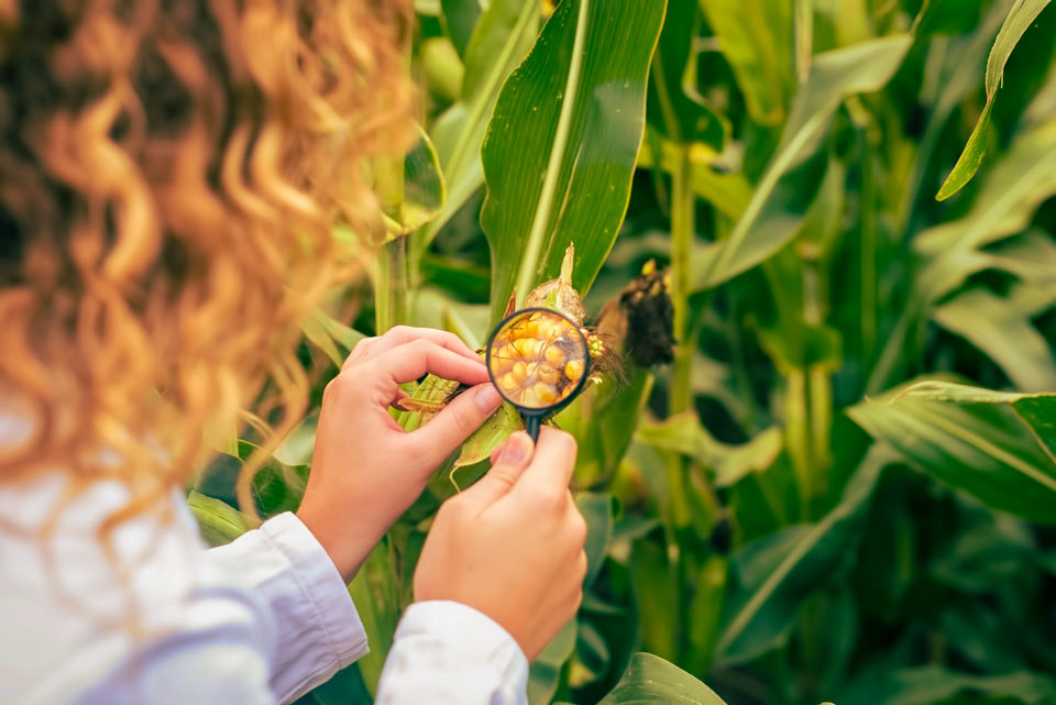 Опять неудача