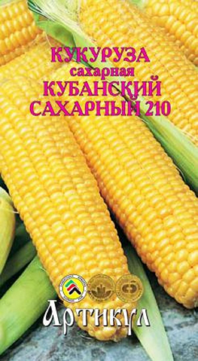 Выращивание кукурузы: популярные сорта и уход | 