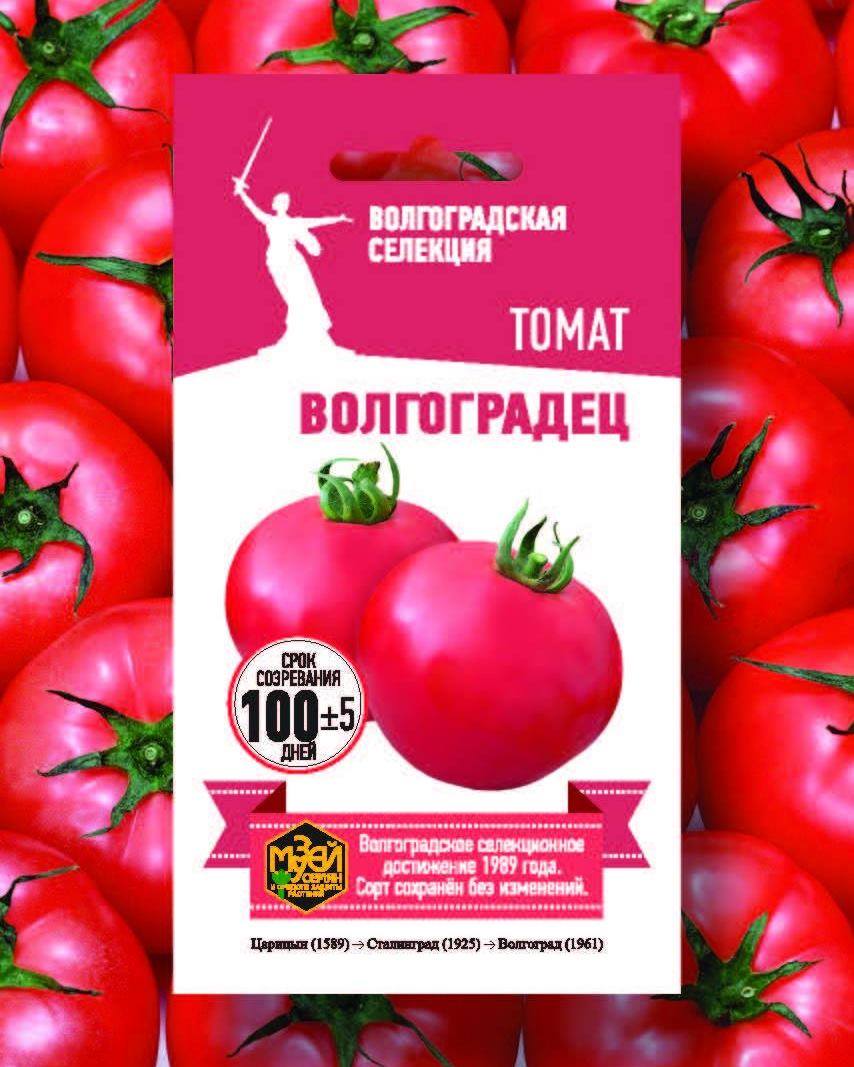 Возрождение волгоградской селекции томатов.