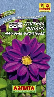Семена георгины Фигаро Фиолетовая