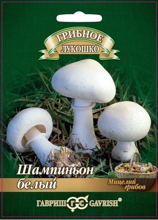 Мицелия гриба Шампиньон Белый на зерновом субст.15 мл/Гавриш