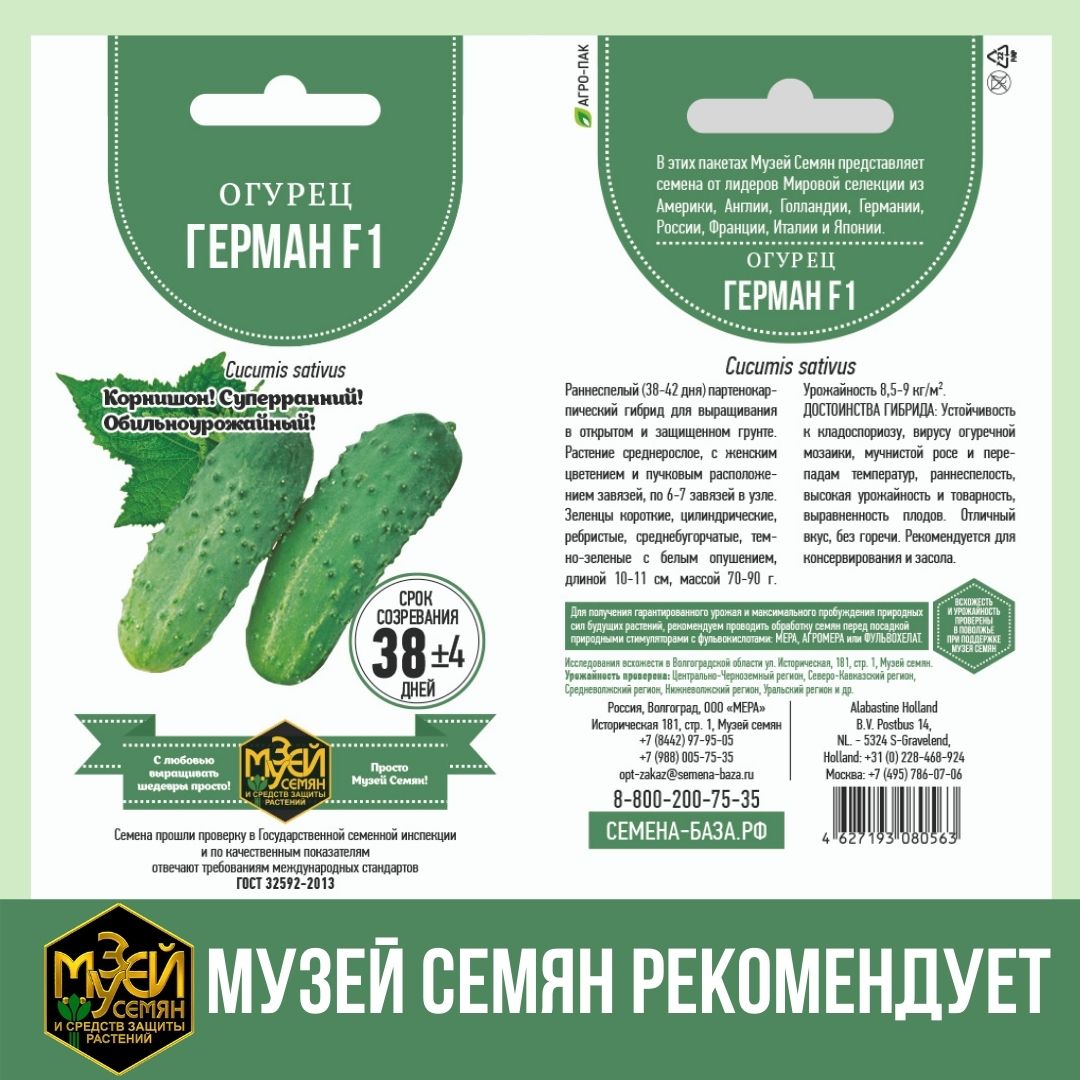 Купить семена огурцов на semena-baza.ru