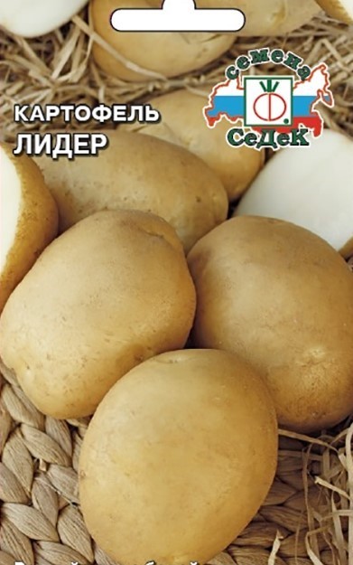 Купить семена картофеля на semena-baza.ru