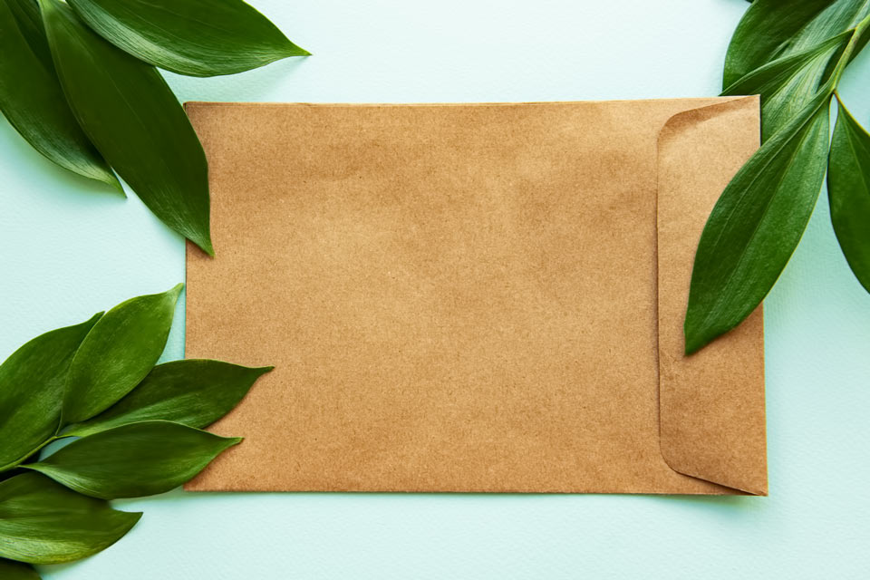 Почему нужно выбирать семена в пакетах ЭКОКРАФТ от Музея Семян?