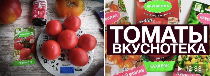 Еще один томат из серии Вкуснотека, который порадовал в этом сезоне.