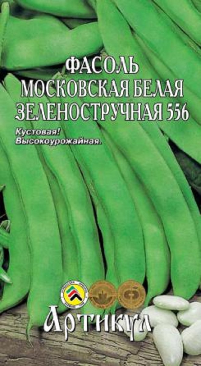 Особенности выращивания фасоли | 