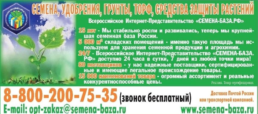 Реклама Всероссийского интернет-представительства