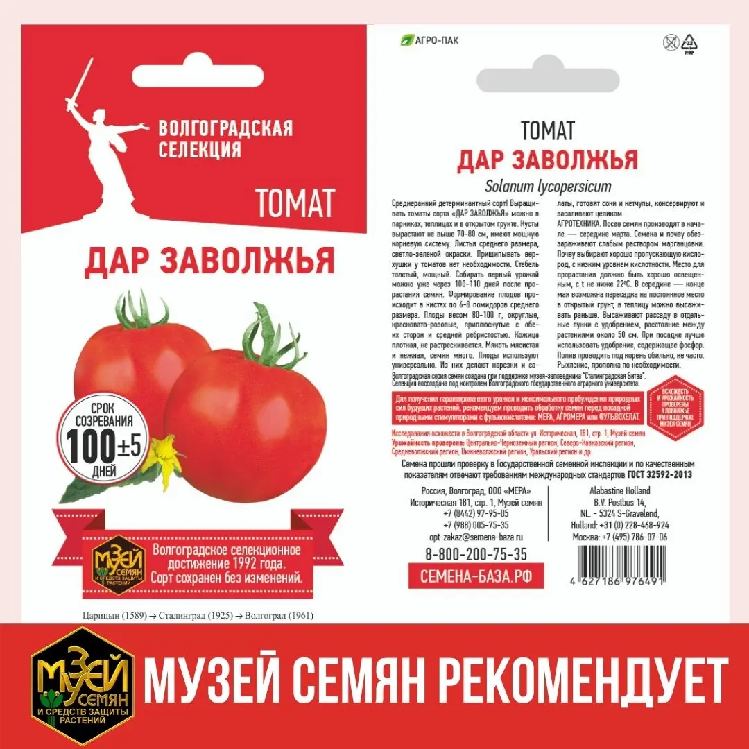 Дар Заволжья - сорт районированных томатов волгоградской селекции Дар Заволжья - сорт районированных томатов волгоградской селекции
