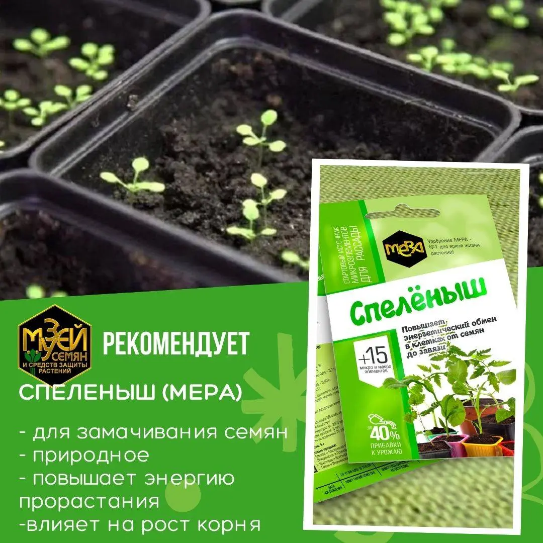 Всё ли готово к посадке рассады? Всё ли готово к посадке рассады?