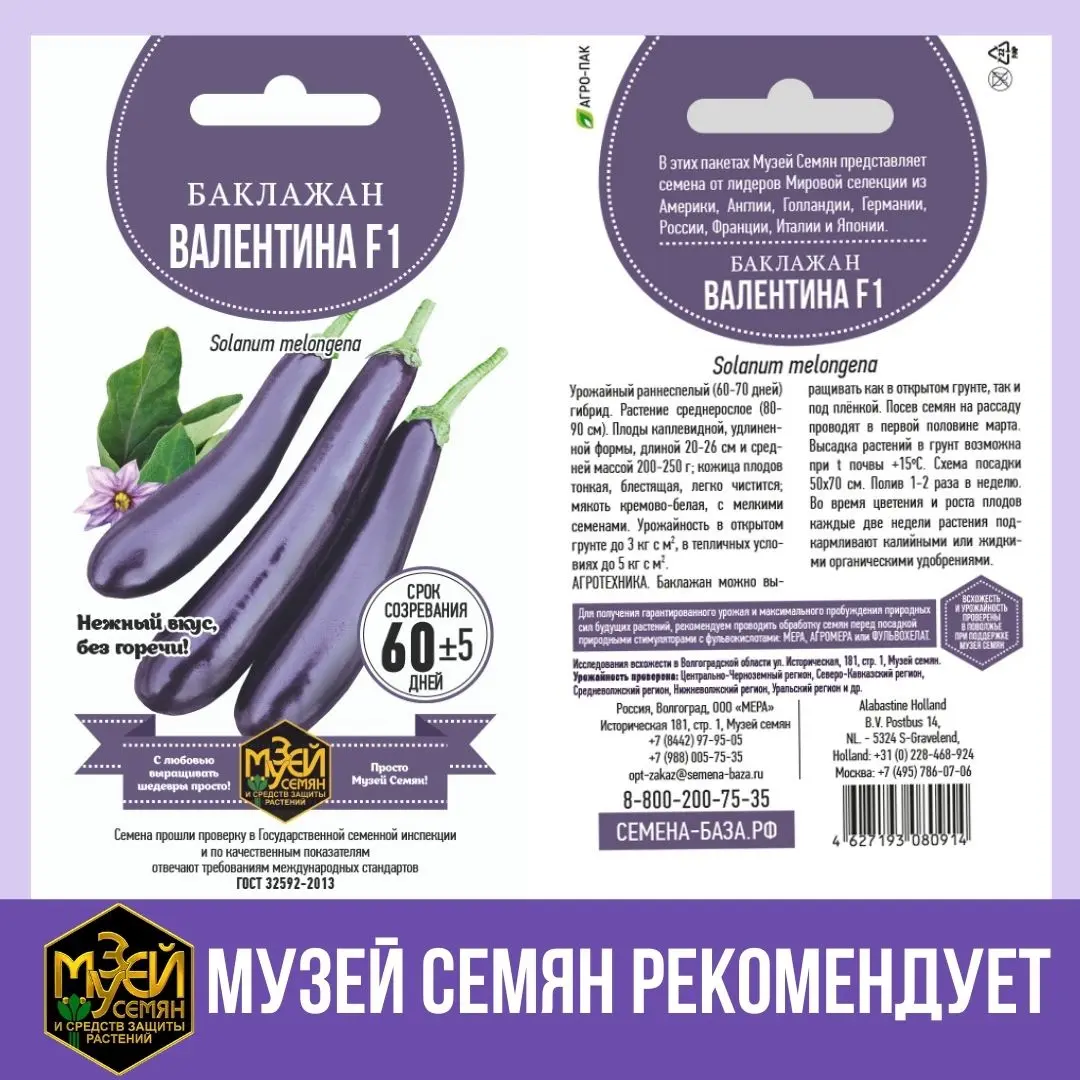 Сеять баклажаны на рассаду можно до середины мая. Если это ультраранний гибрид Валентина F1! Сеять баклажаны на рассаду можно до середины мая. Если это ультраранний гибрид Валентина F1!