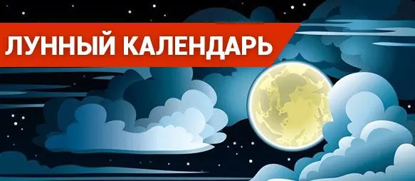 Лунный посевной календарь. Декабрь 2019 Лунный посевной календарь. Декабрь 2019