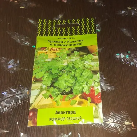 Какую зелень можно выращивать зимой на подоконнике? Какую зелень можно выращивать зимой на подоконнике?