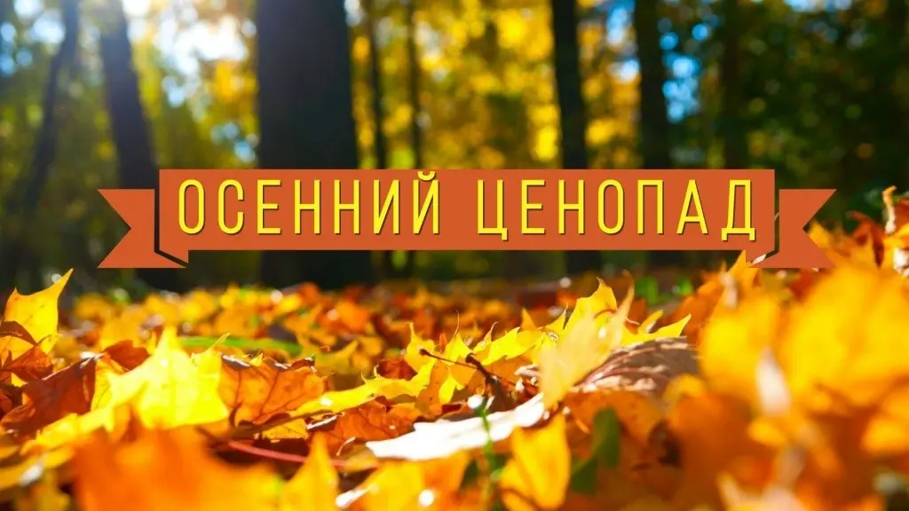 Акция «ОСЕННИЙ ЦЕНОПАД» для оптовых клиентов! Акция «ОСЕННИЙ ЦЕНОПАД» для оптовых клиентов!