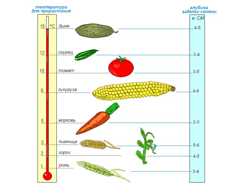 На пакетах с семенами указывают температуру для всходов, для всех культур разную. Есть ли какие то средние показатели, чтобы можно было рядом проращивать разные культуры?