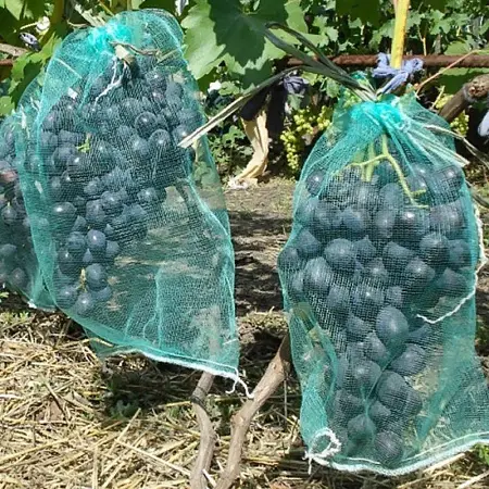 Сетка для винограда защита от ос №1 18*33