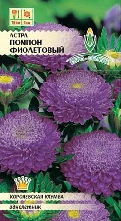 Семена астры Помпон Фиолетовый