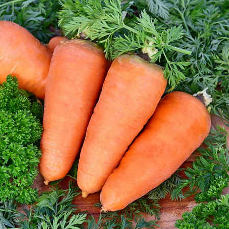 Семена моркови Шантане 2461 2г белый пакет