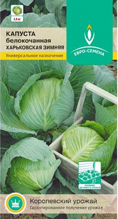 Семена капусты белокочанной Харьковская Зимняя 0,5г