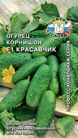 Семена огурца Красавчик
