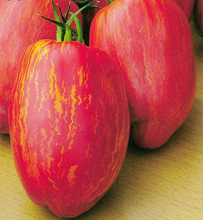 Семена томата Дон Жуан 0,1г белый пакет