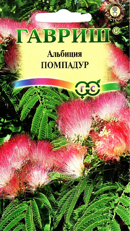 Семена альбиции Помпадур