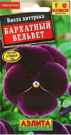Семена виолы Бархатный Вельвет 