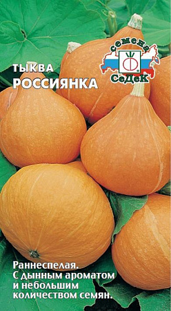 Семена тыквы Россиянка