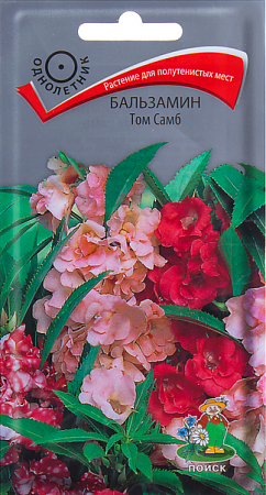 Семена бальзамина Том Самб