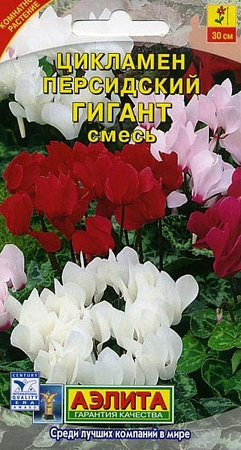 Семена цикламена Персидский Гигант