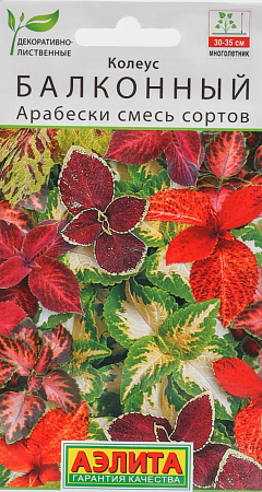 Семена колеуса балконного Арабески, смесь сортов