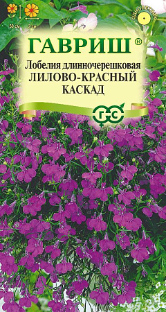 Семена лобелии Лилово-красный Каскад
