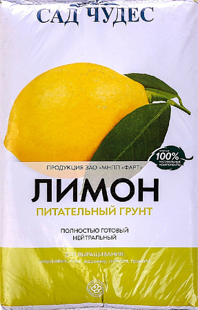 Семена Лимона Комнатного Купить Интернет Магазин Семена Лимона Комнатного Купить Интернет Магазин