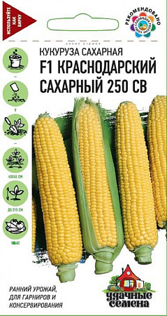 Семена кукурузы Краснодарский сахарный СВ 250 F1  5г