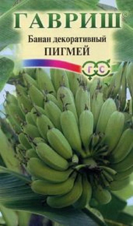 Семена банана Пигмей