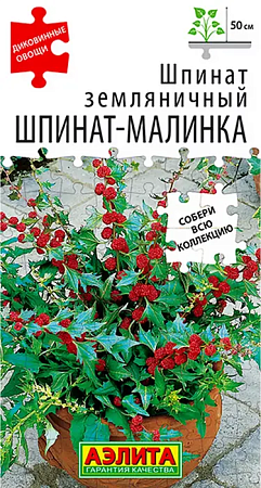 Семена шпината земляничный Шпинат-малинка