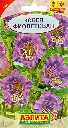 Семена кобеи Фиолетовая