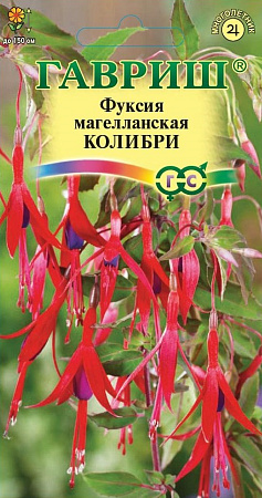 Семена фуксии Колибри магелланская 