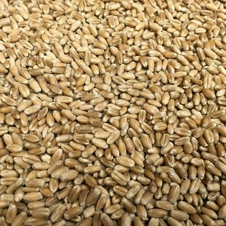 Пшеница весовая 1кг