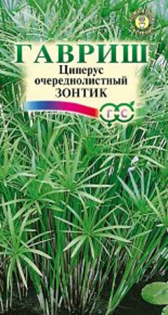 Семена циперуса Зонтик 0,05