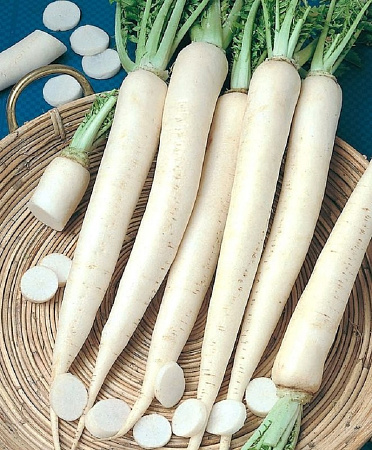 Семена дайкона Миноваси 1г белый пакет /Поиск