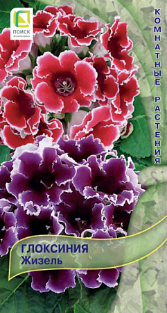 Семена глоксинии Жизель 5шт