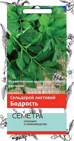 Семена сельдерея Бодрость листовой 0,5г/Семетра/Поиск