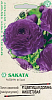 Семена лютика (Ранункулюс) Цветущая долина Фиолетовая 3шт