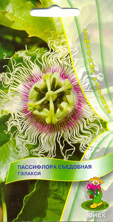 Семена пассифлоры Гелакси съедобная