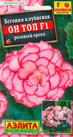 Семена бегонии Он Топ F1 розовый ореол 5шт