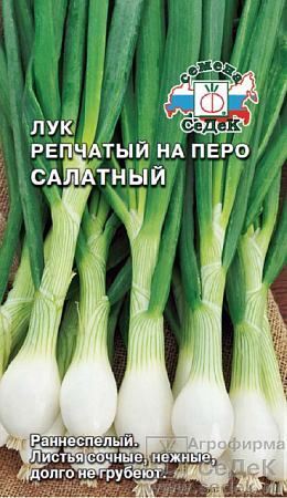 Семена лука на перо Салатный /ДУ